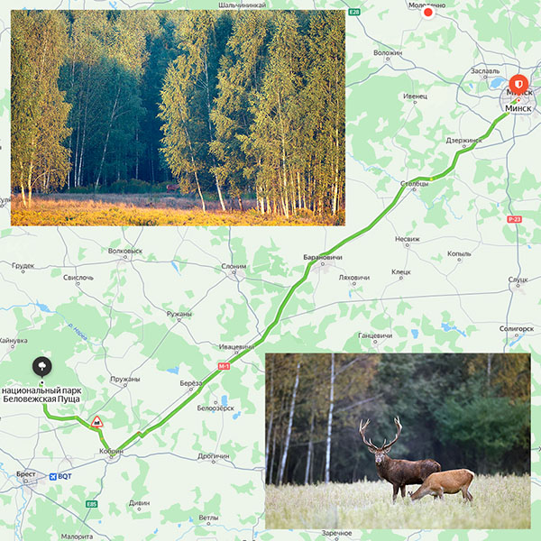 Индивидуальный тур Беловежская пуща - Брестская крепость на карте